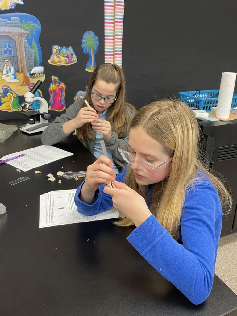 we-holy-cross-middle-school-news